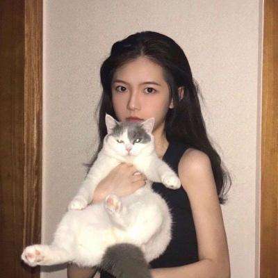 幻想计划测试服下载